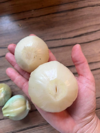 Elefanten Knoblauch