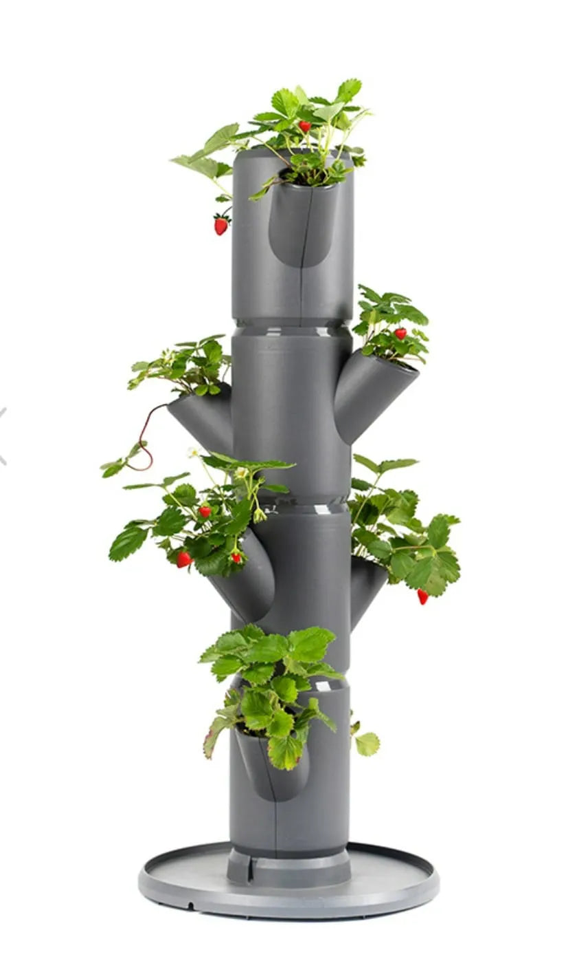 Erdbeerturm starter anthrazit (4 oder 6 Etagen)