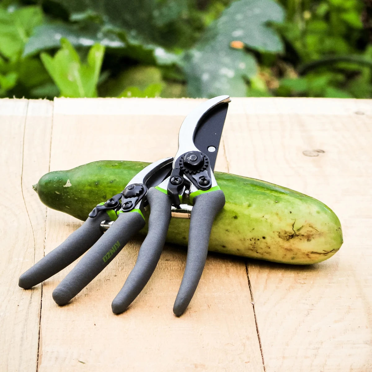 Gartenschere - 2 Größen