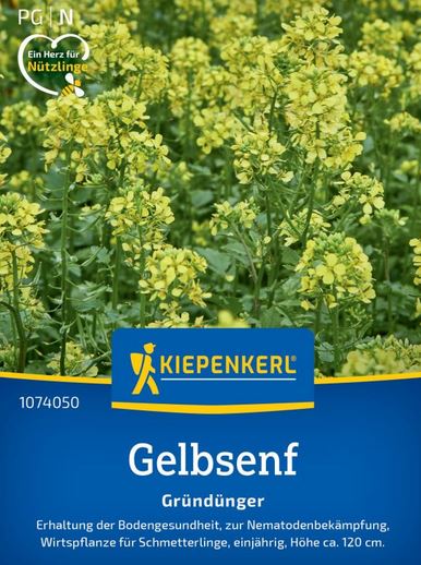 Gelbsenf Weißsamiger Senf