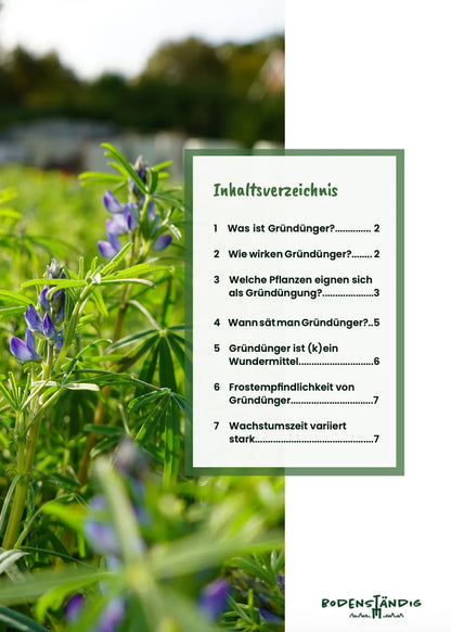 Gründünger im Gemüsegarten sinnvoll nutzen von Felix Hobby Garten (PDF)