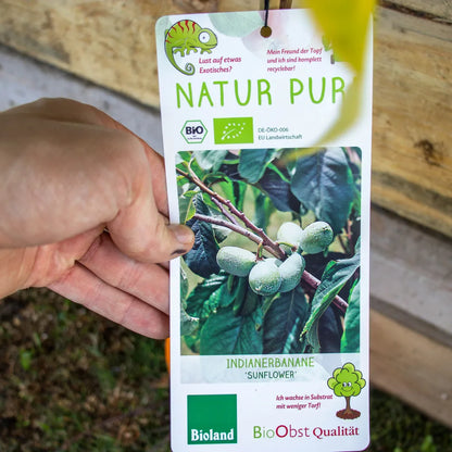 Indianerbanane Papau label