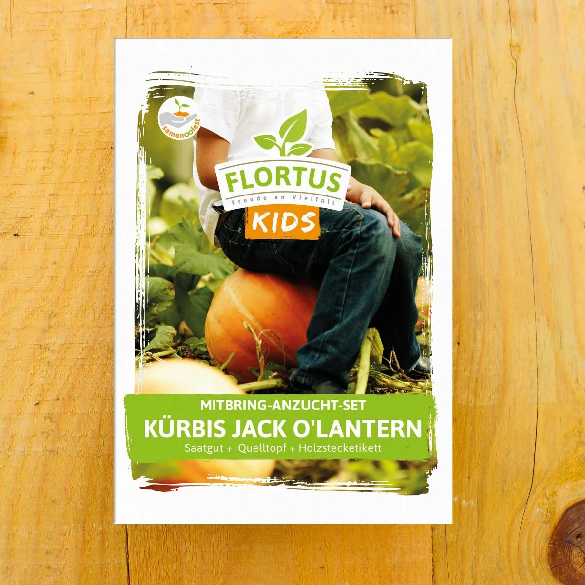 KIDS Mini Anzuchtset Kürbis Jack O'Lantern