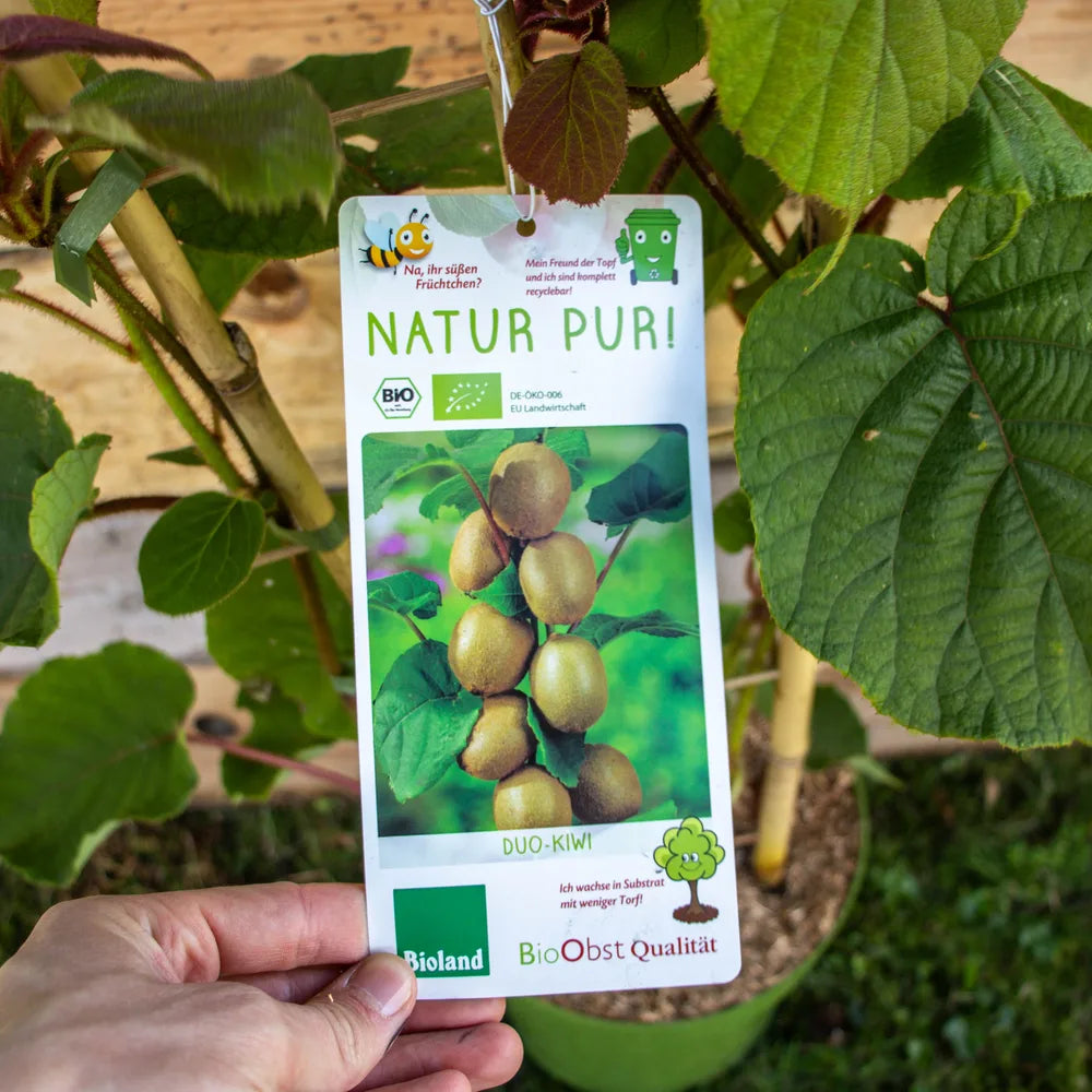 Kiwi-Duo Jenny und Tomuri label