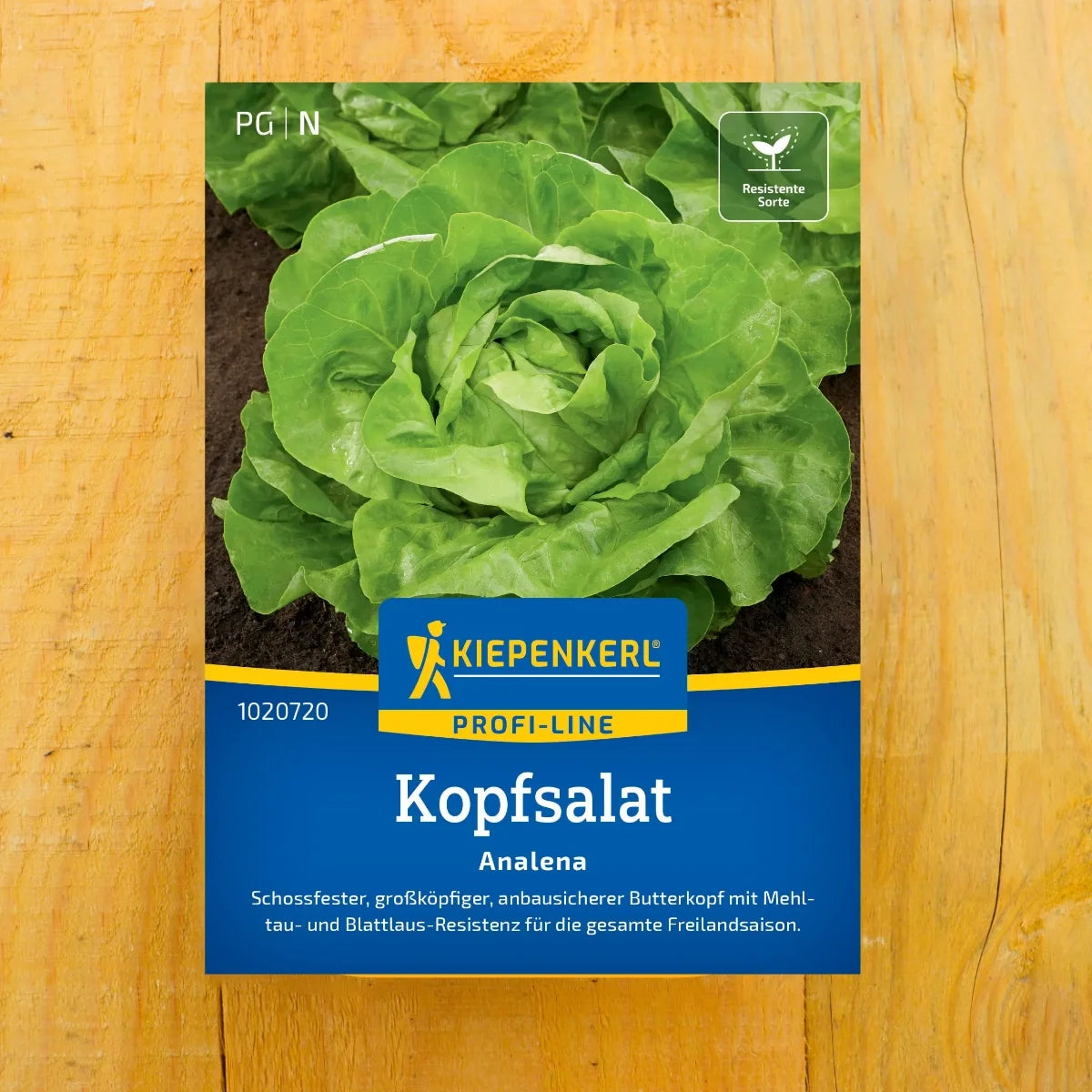 Kopfsalat Analena