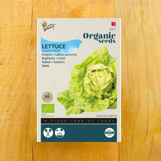 Kopfsalat Maikönig