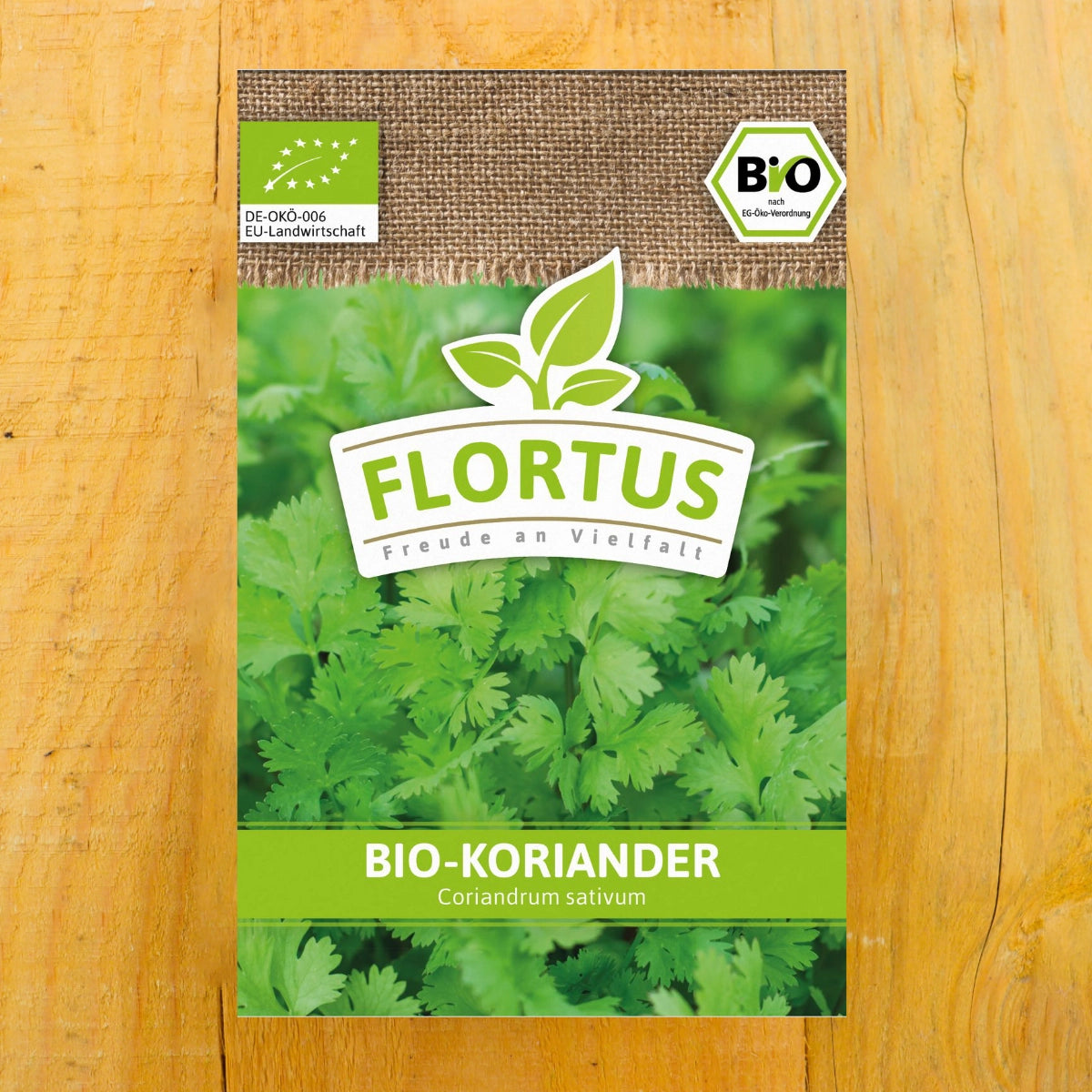 Koriander