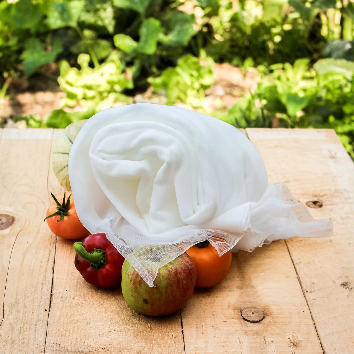 Kulturschutznetz für Gemüse und Beeren