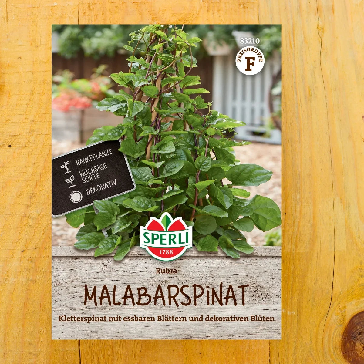 Malabarspinat Rubra