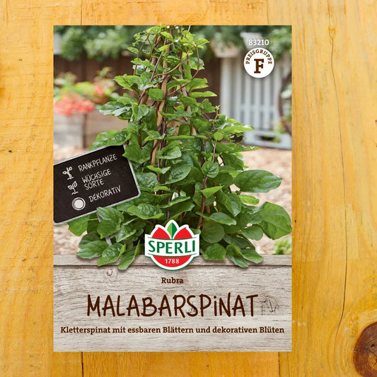 Malabarspinat Rubra