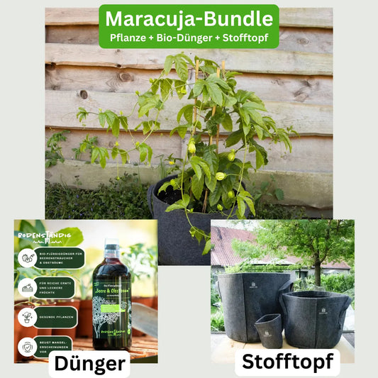Maracuja-Komplettset — Pflanze, Dünger & Stofftopf