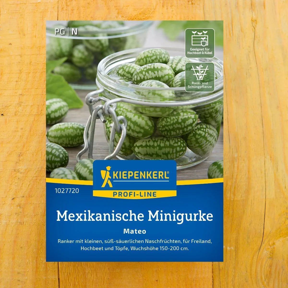 Mexikanische Minigurke Mateo