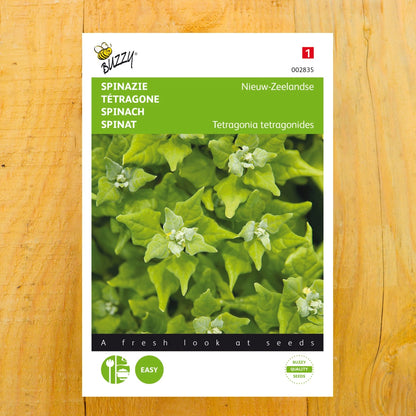 Neuseeländer Spinat
