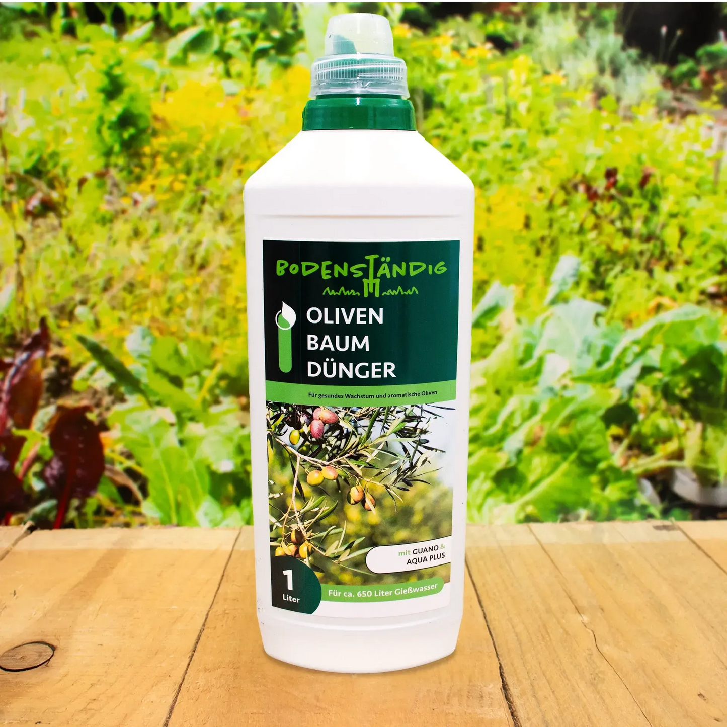 Olivenbaum - Dünger
