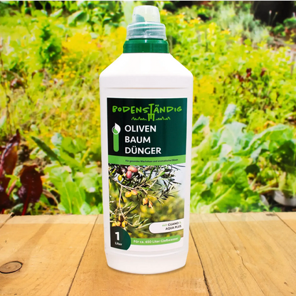 Olivenbaum - Dünger