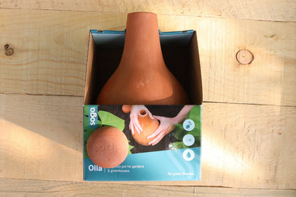 Olla Bewässerungstopf | Bewässerungskugel aus Terrakotta