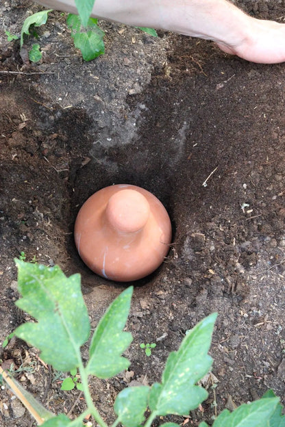 Olla Bewässerungstopf | Bewässerungskugel aus Terrakotta