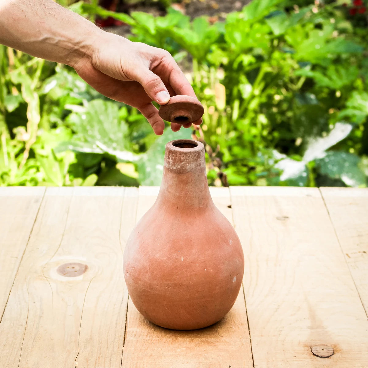 Olla Bewässerungstopf | Bewässerungskugel aus Terrakotta
