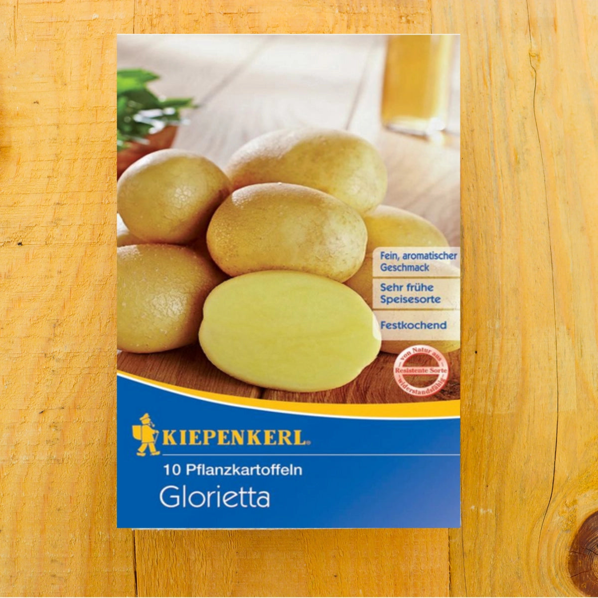 Pflanzkartoffel Agria, 10 Stück