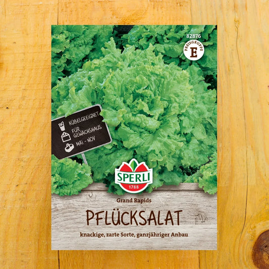 Pflücksalat Grand Rapids