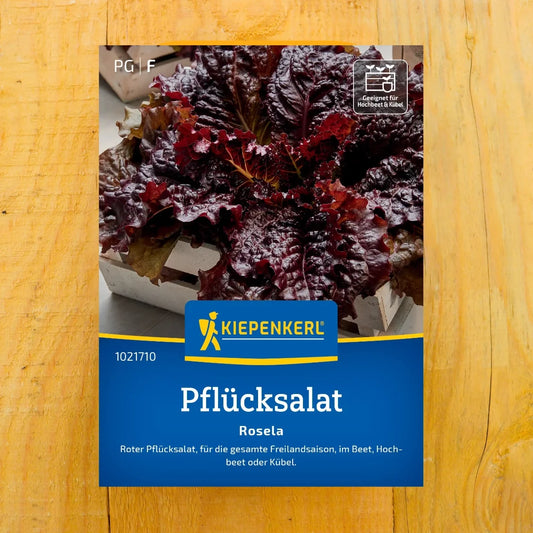 Pflücksalat Rosela