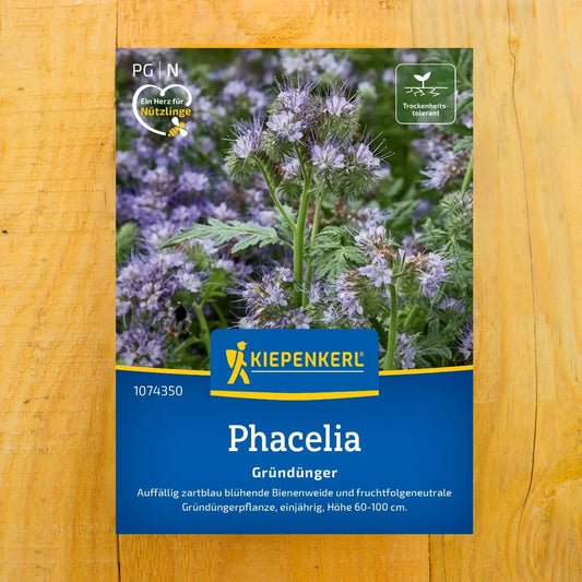 Phacelia Bienenfreund