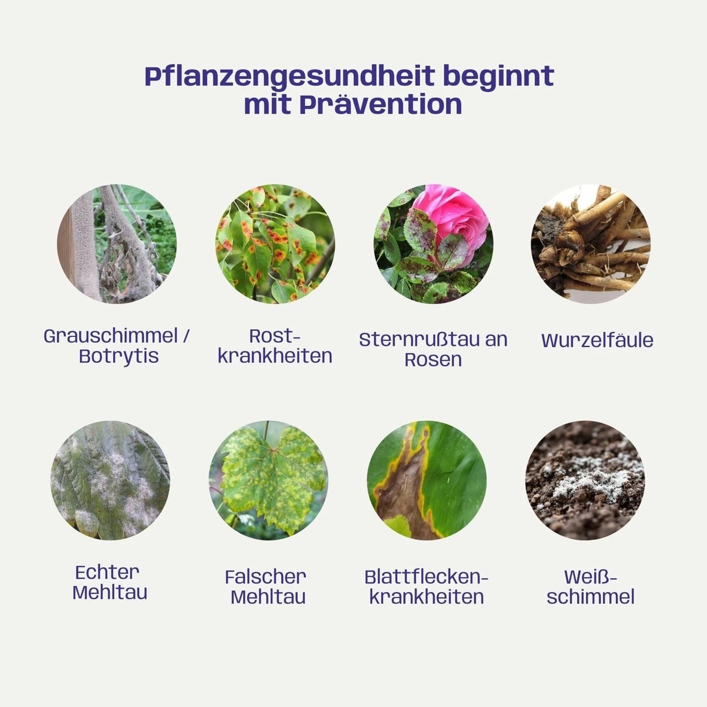 Bio Plant Health Kit