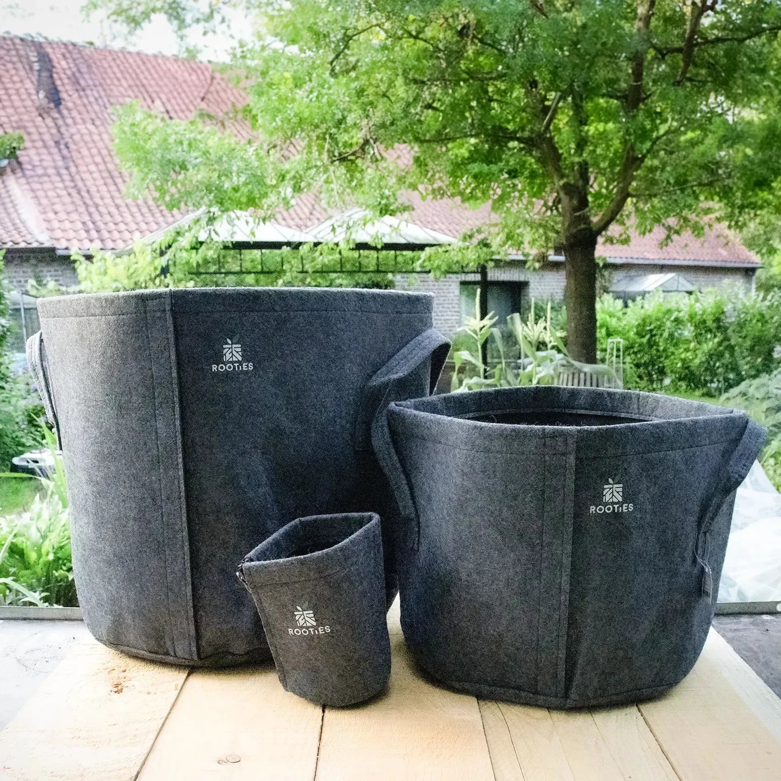 Maracuja-Komplettset — Pflanze, Dünger & Stofftopf