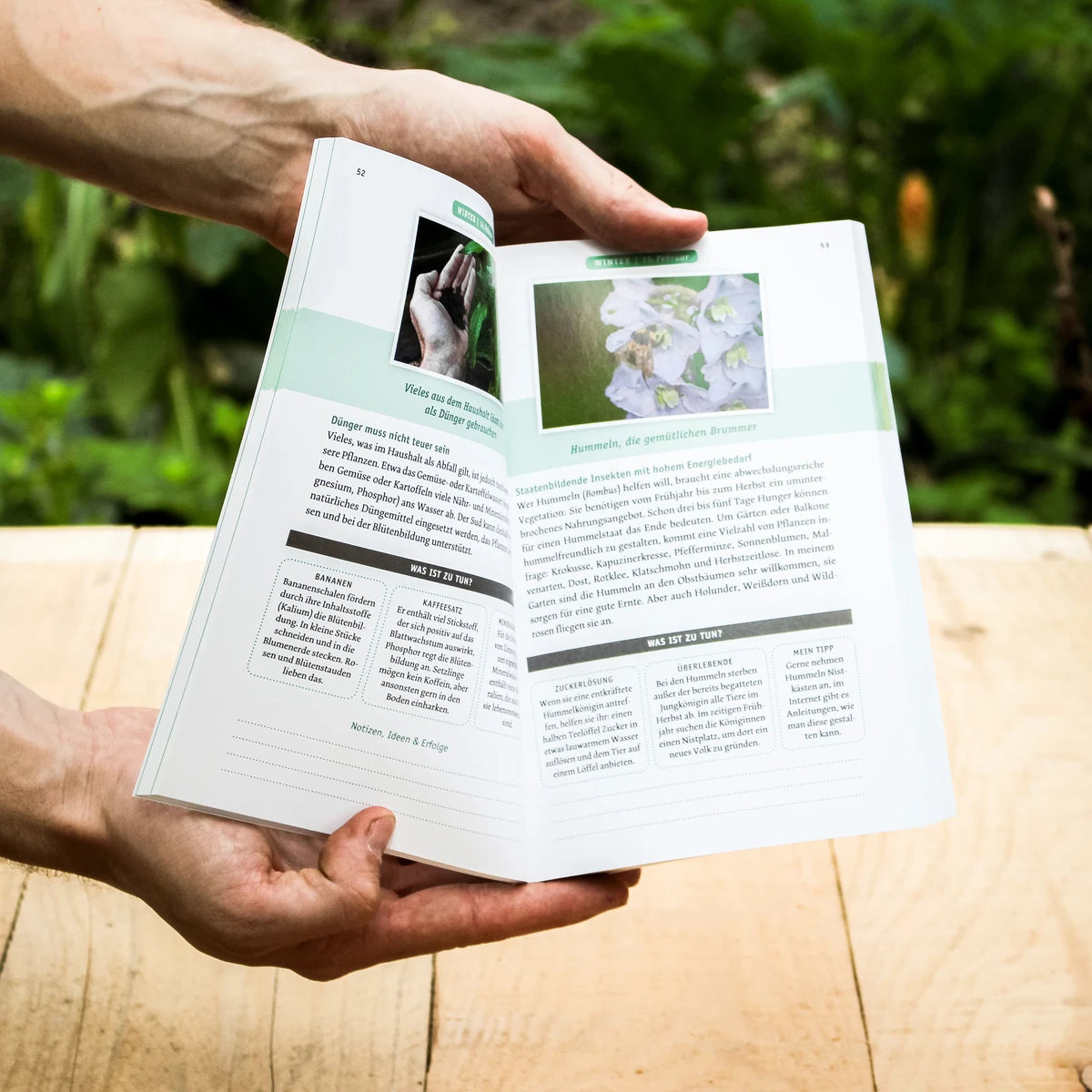 Mit dem Pflanzenarzt durchs Gartenjahr Buch