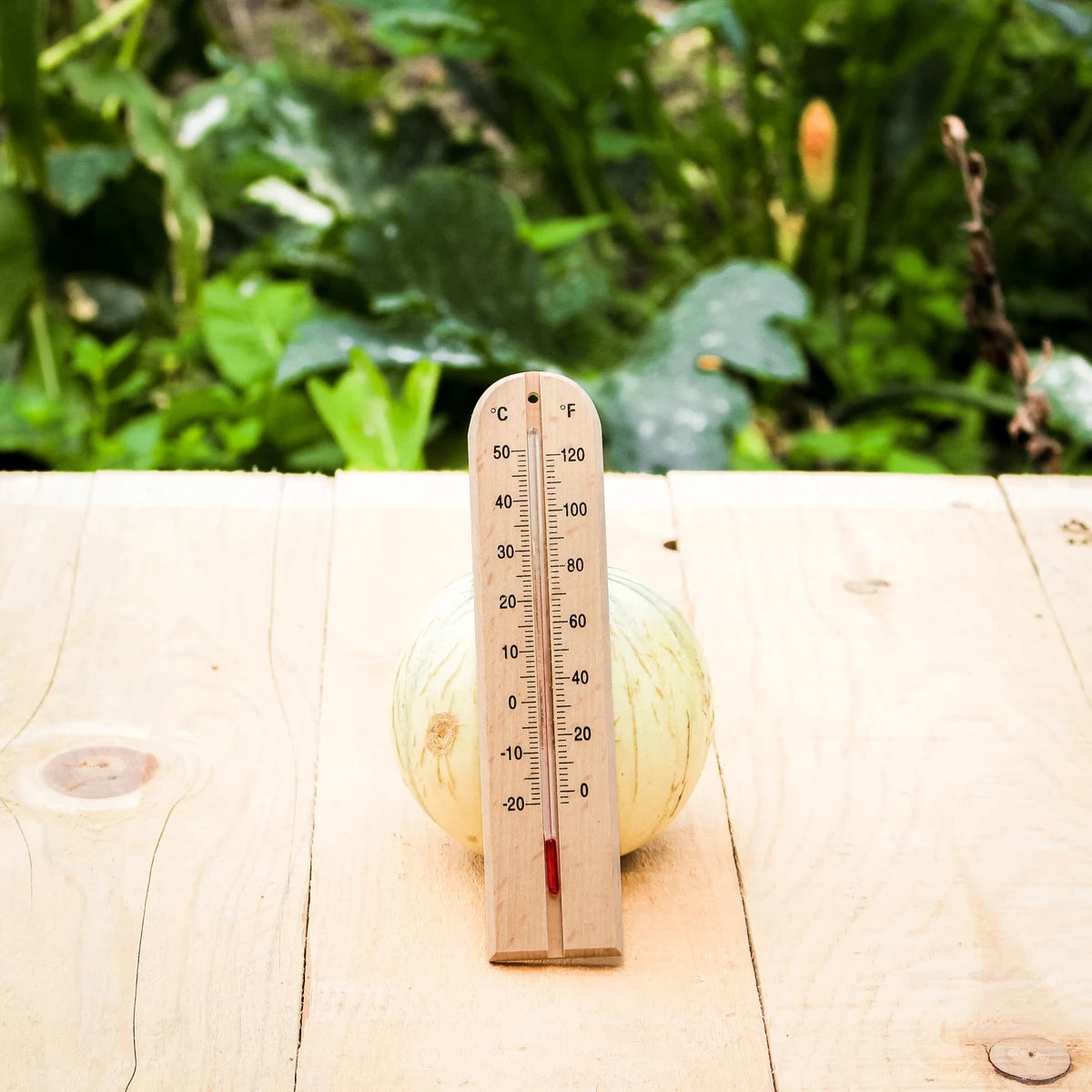 Thermometer aus Holz