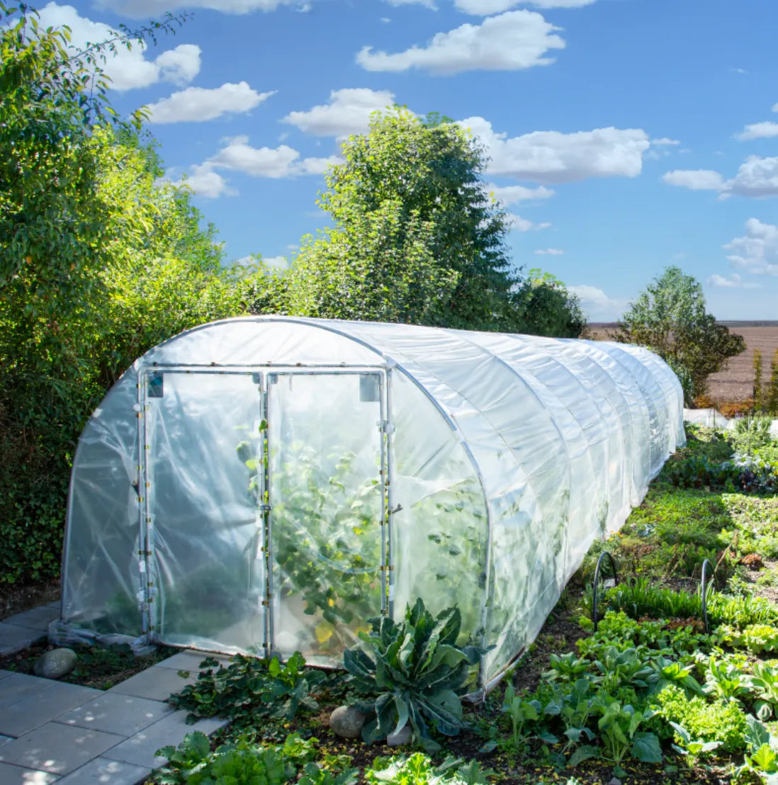 RÖMI® Folientunnel 3,50 M X 6,0 M oder 8,0 M