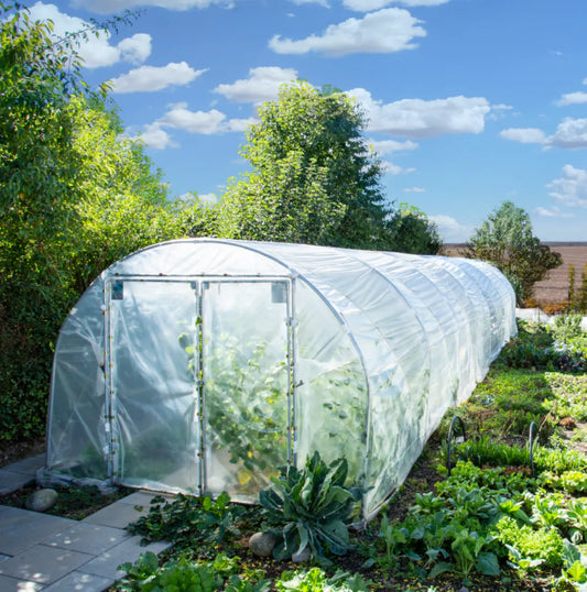 RÖMI® Folientunnel 3,50 M X 6,0 M oder 8,0 M