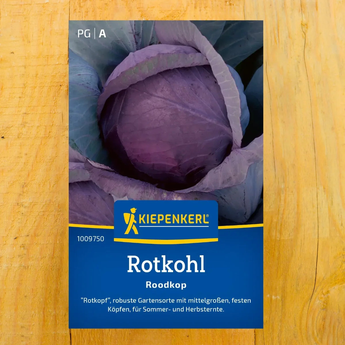 Rotkohl 'Roodkop'