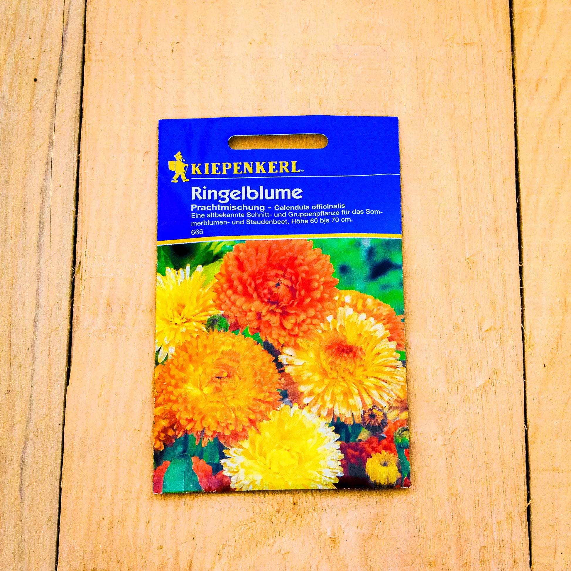 Ringelblume Prachtmischung
