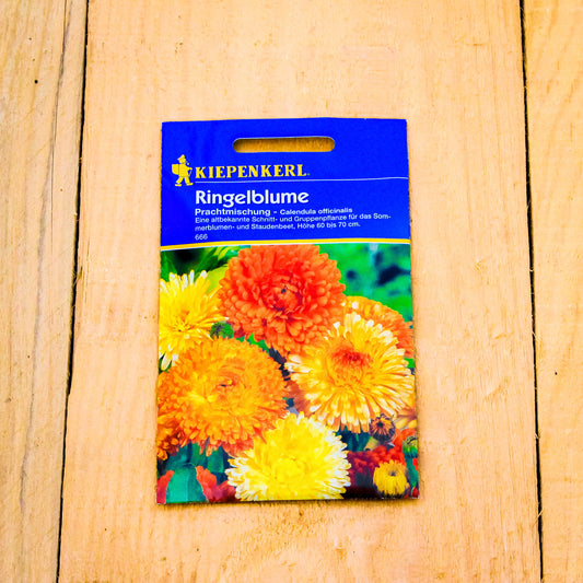 Ringelblume Prachtmischung