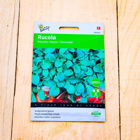 Rauke (Rucola)