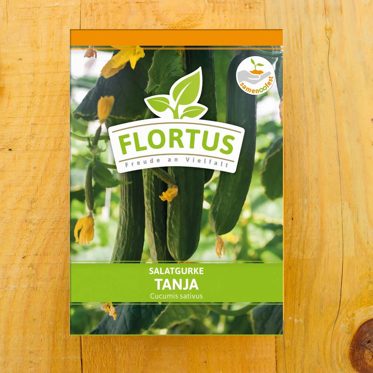 Salatgurke Tanja 50 Korn