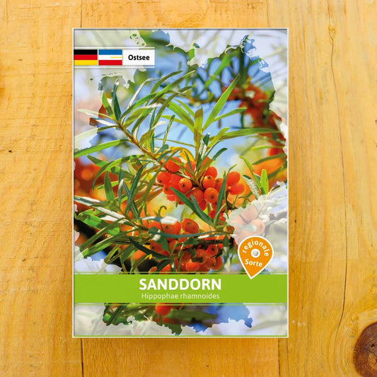 Sanddorn Regionale Sorte Ostsee