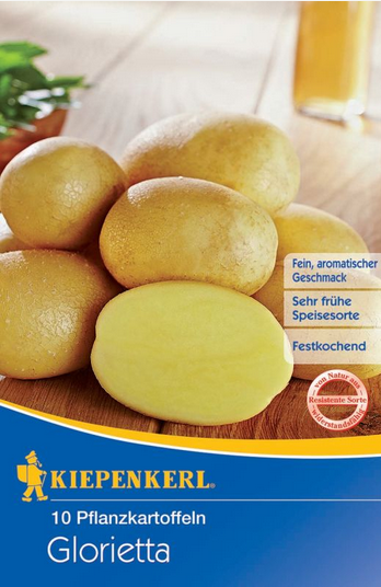 Pflanzkartoffel Glorietta, 10 Stück