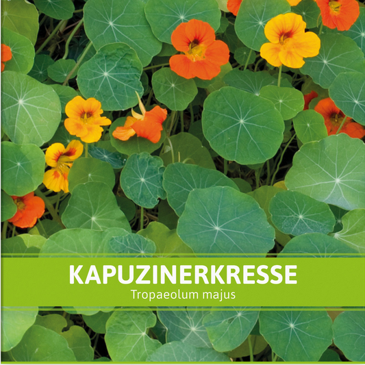 Kapuzinerkresse