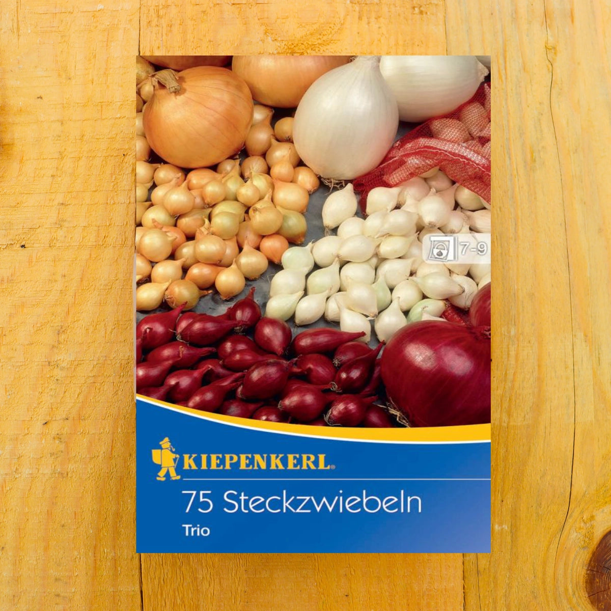 Steckzwiebel Trio
