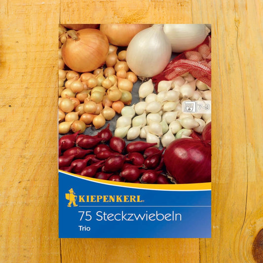 Steckzwiebel Trio