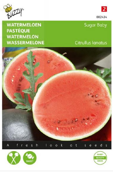 Wassermelone Sugar Baby