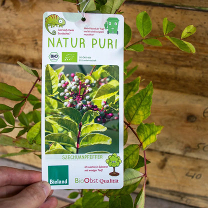 Szechuan Pfeffer label