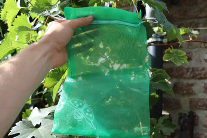 Trauben-Schutztasche