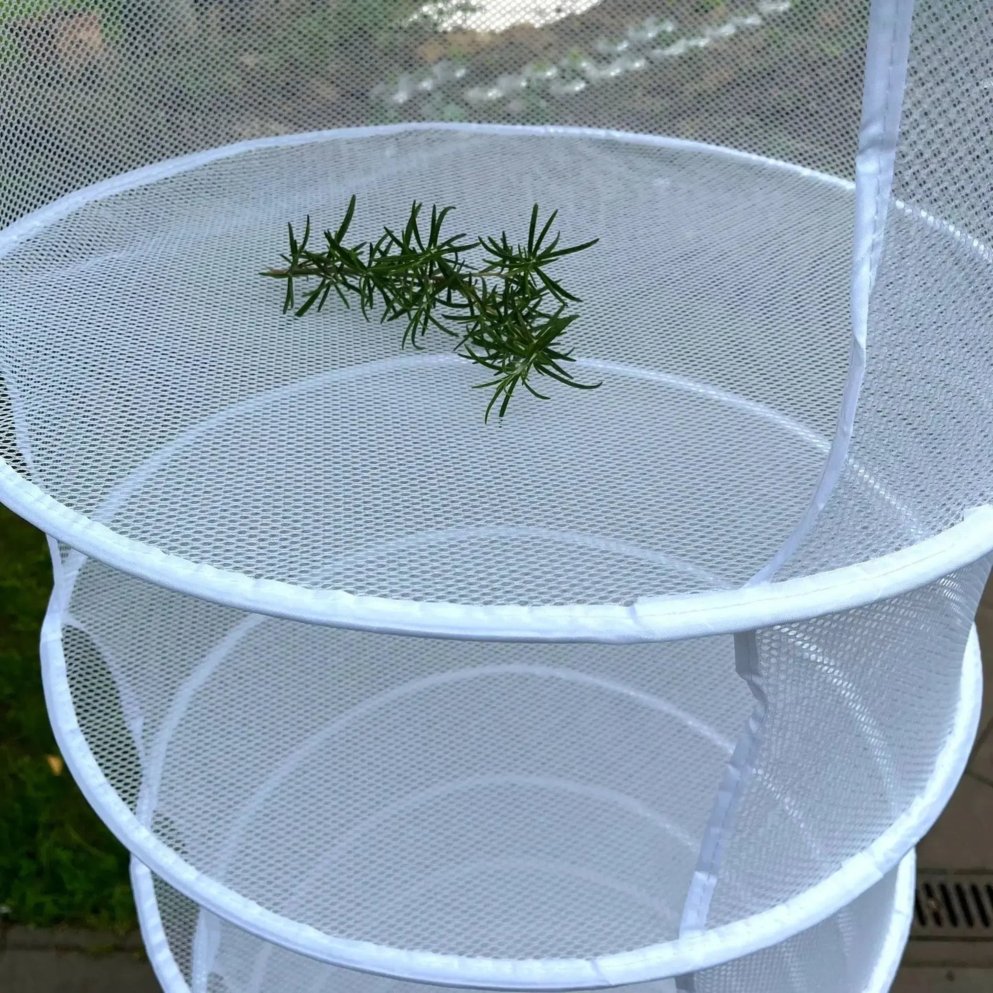 Trocknungsnetz