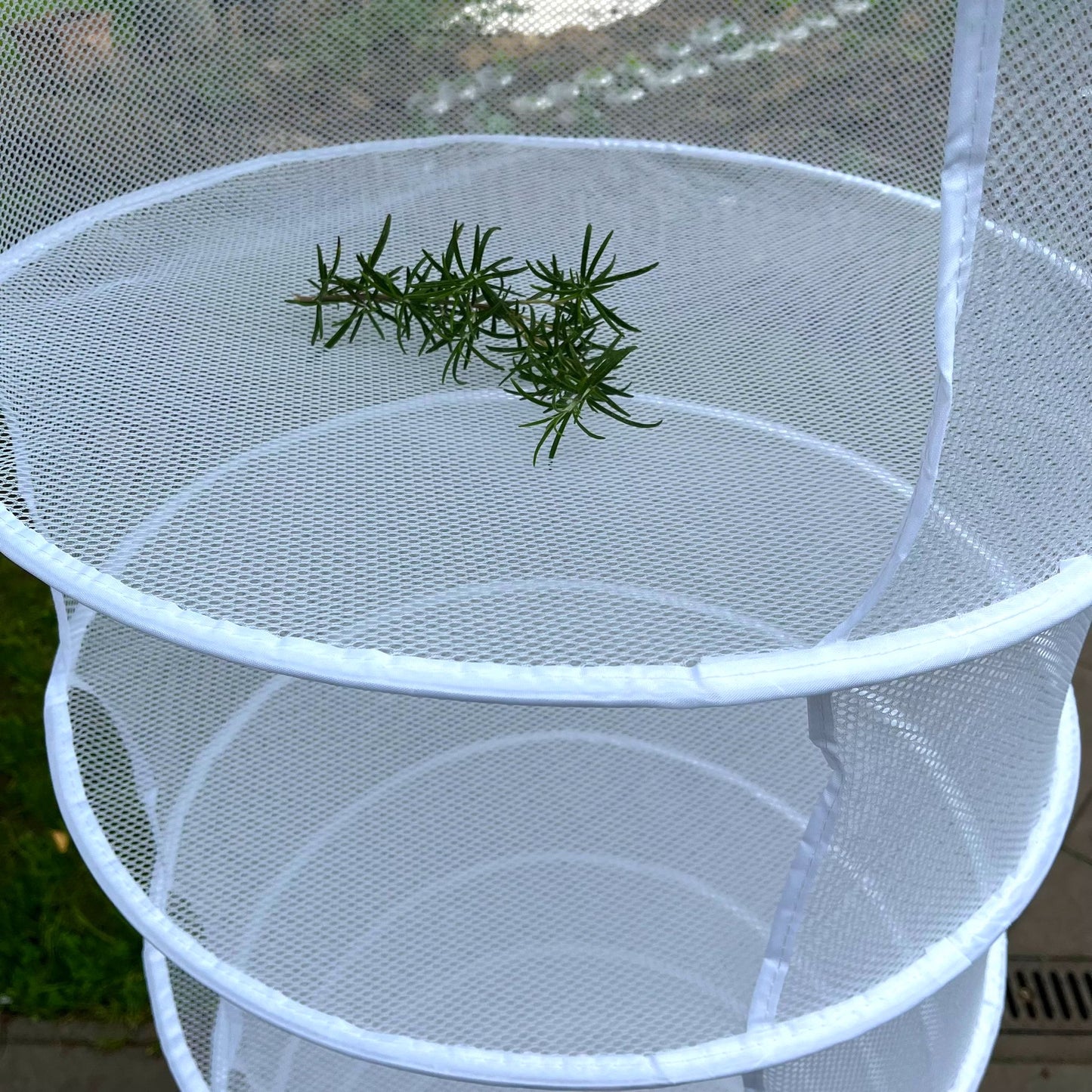 Trocknungsnetz