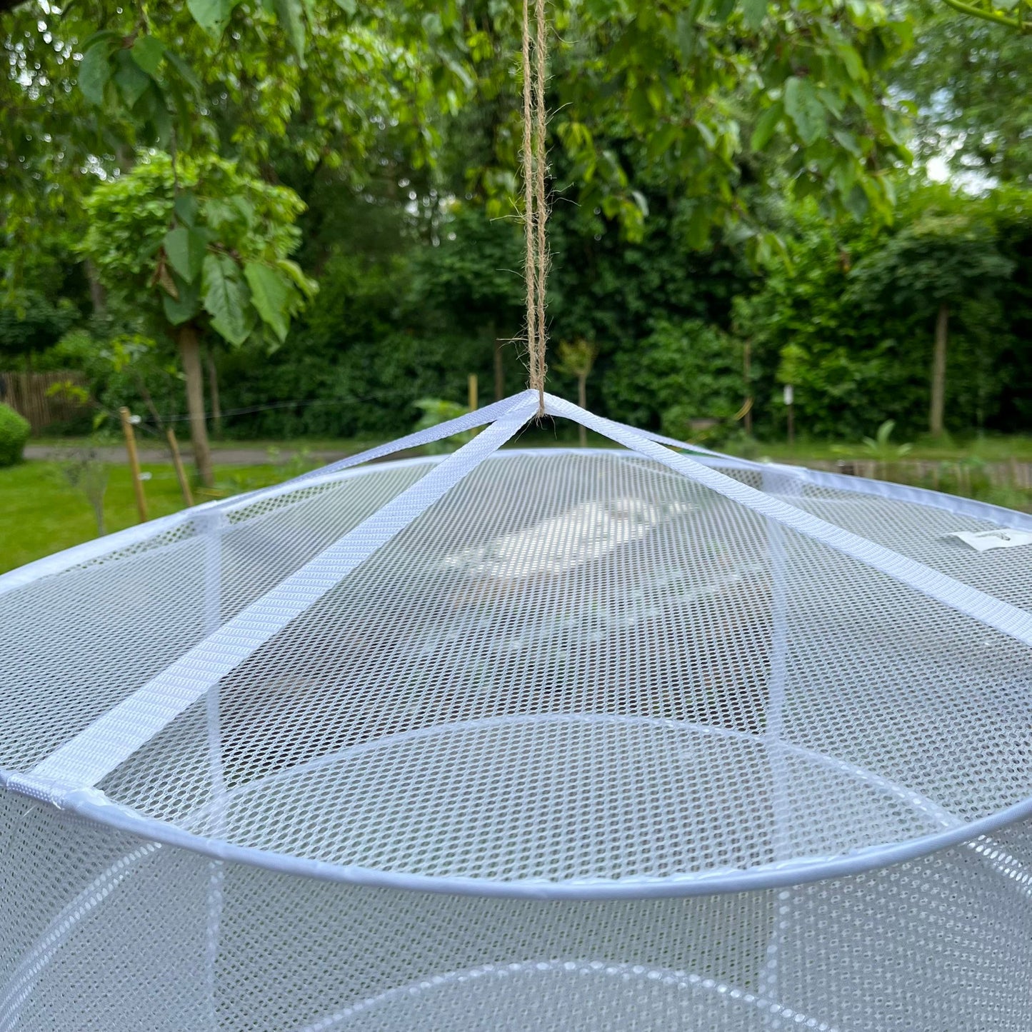 Trocknungsnetz