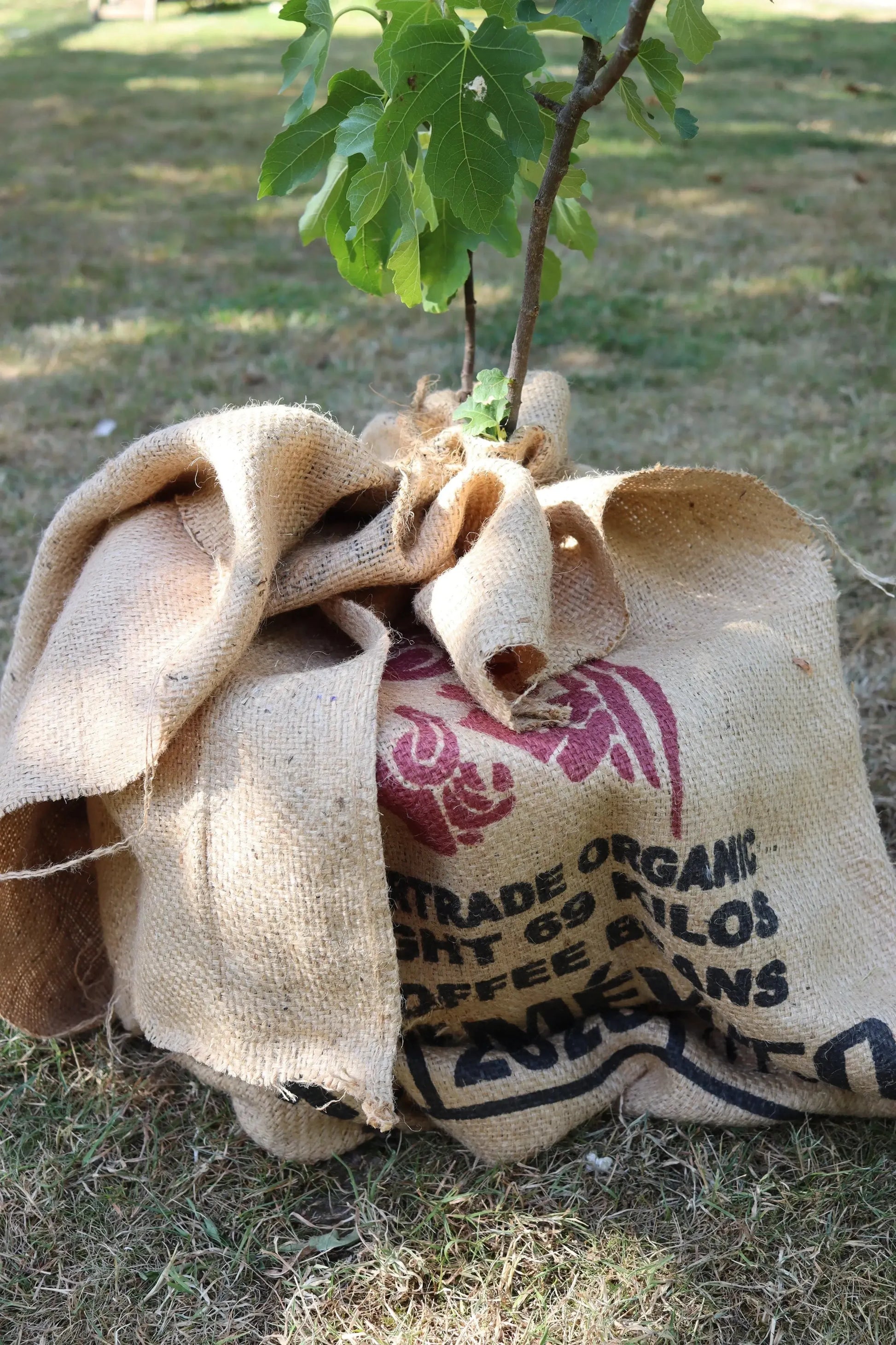 Winterschutz aus Jute