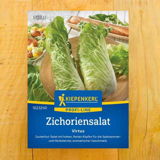 Zichoriensalat Virtus